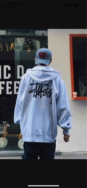 Stussy Basic Zip Logo Hoodie