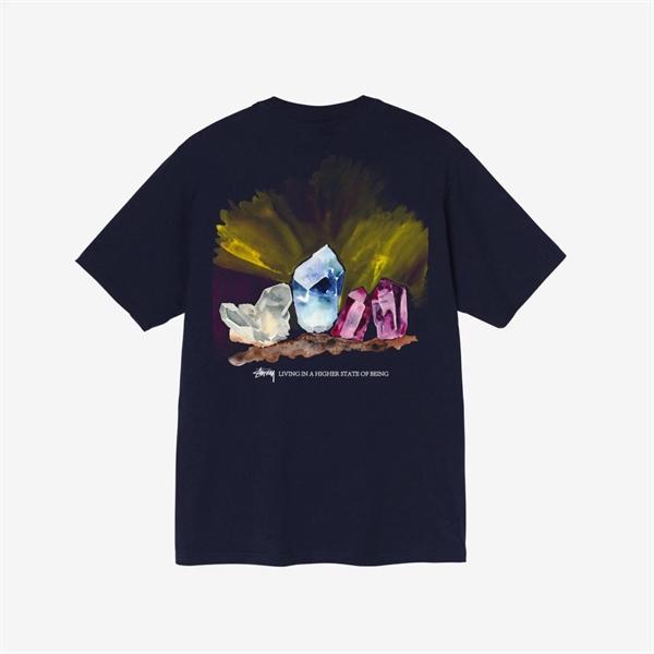 Stussy Higher State Tee