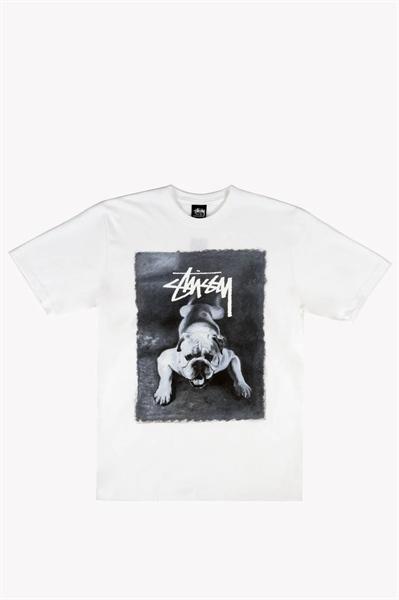 Stussy Bulldog Tee ( LNĐ )